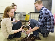 Potential Adopters with Pup